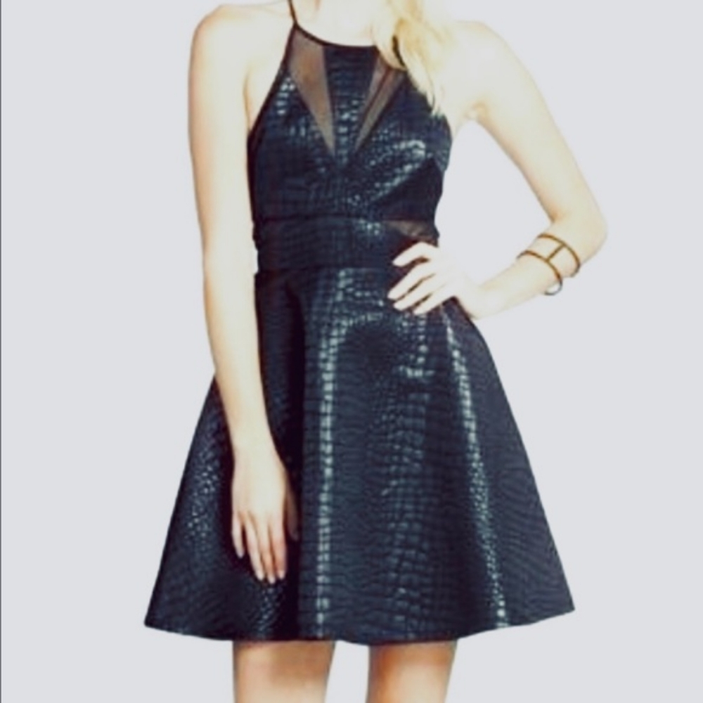 ASTR the Label Black Snakeskin/Mesh Fit and Flare Skater Dress Size XS